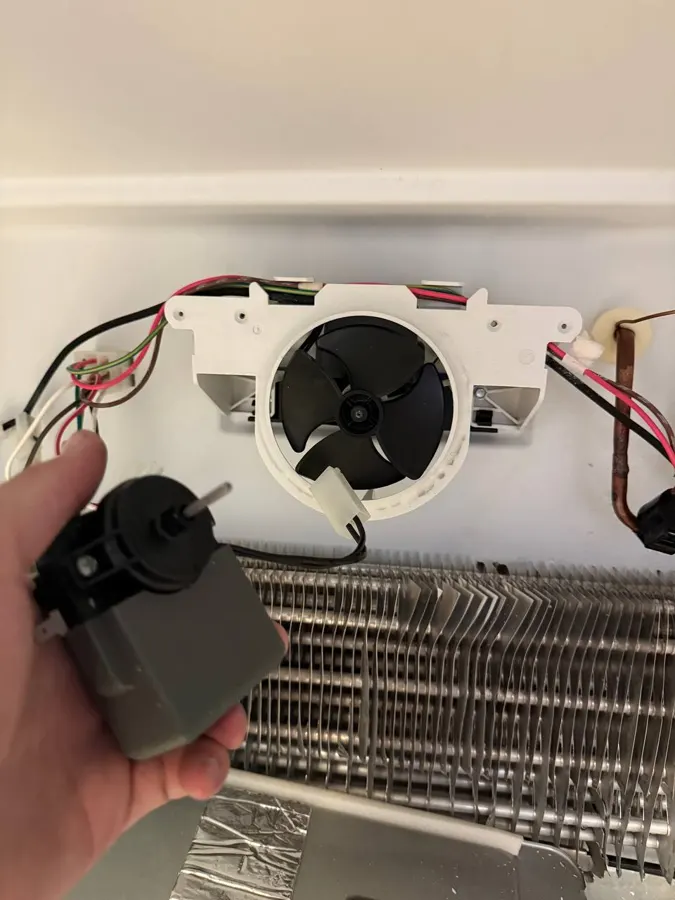 Evaporator fan motor